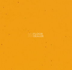 Линолеум Forbo Sphera Energetic 50210 mandarin фото 1 | FLOORDEALER